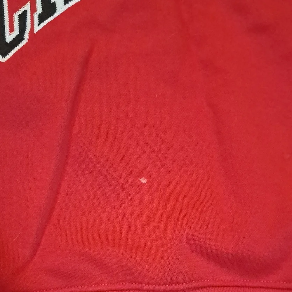 Champion Scarlet Sweatshirt - Picture 4 of 5